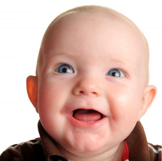 CREATOR: gd-jpeg v1.0 (using IJG JPEG v62), quality = 80